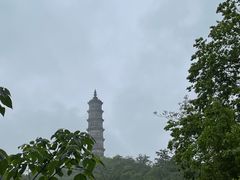 -巢湖姥山岛