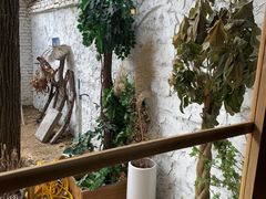 -0907餐厅(核桃园店)