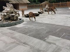 -金沙遗址博物馆