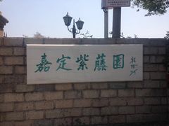 -嘉定紫藤园