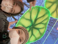 -沈阳奥体冰雪嘉年华