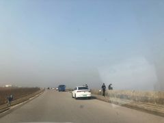 -南汇嘴观海公园