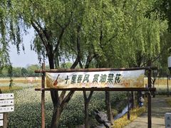 -长兴太湖图影湿地文化园