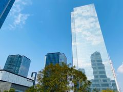 -重庆市江北嘴中央商务区中央公园