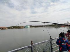 -上海都市菜园