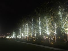 -钱江新城灯光秀