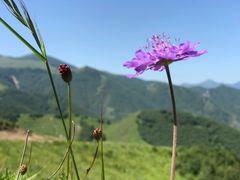 -灵山