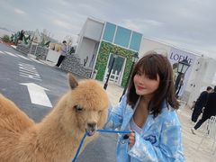 -Blue Concept Cafe&Farm·關於藍