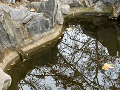 -东坡赤壁风景名胜区