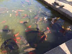 -南诏风情岛