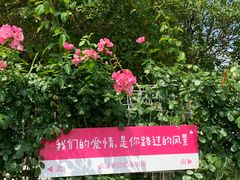 -武汉紫薇都市田园