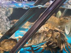 -苏格里岛自助烤肉海鲜火锅(成都金牛万达店)