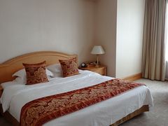 -南京维景国际大酒店(南京博物院店)