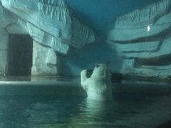 -泉城欧乐堡海洋极地世界