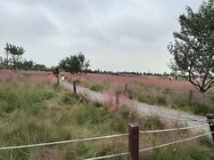 -汉长安城未央宫国家考古遗址公园