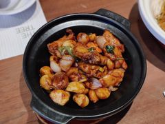 金不换三杯鸡-大树餐厅(益田假日店)