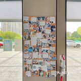 顺德｜让铲屎官放心的专业宠物医院
