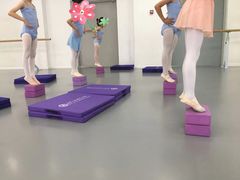 -西安小天鹅艺术团(金花路校区)