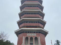 -三水森林公园