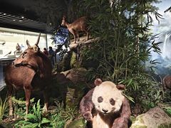 -四川大学博物馆