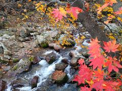 -丹东天桥沟景区