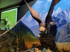 -陕西自然博物馆