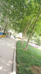 -郑州市世纪公园
