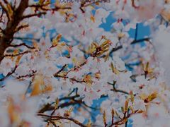 -星巴克(南京狮子桥店)