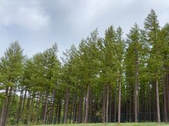 -塞罕坝国家级自然保护区