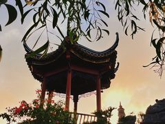 -顺峰山公园