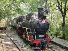 -五营红松林海景区