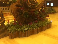 -厦门日月谷温泉渡假村