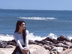 -广东惠东海龟国家级自然保护区