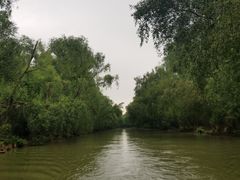 -大湾区中央湿地公园