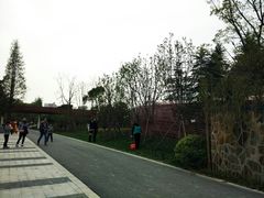 -昆山城市生态森林公园