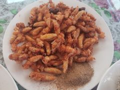 炸蜂蛹-葛子涧农家宴