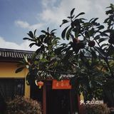 安静的吃个素食