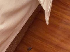 -扬州瘦西湖汇金酒店