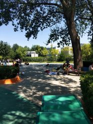 -酷酷兔少儿拓展天地
