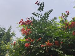 -河南财经政法大学(郑东校区)