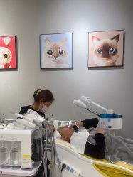 点击看大图 -洗脸猫·洗脸吧