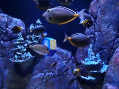 -成都浩海立方海洋公园