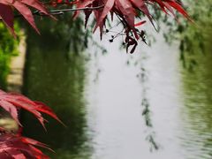 -九科绿洲