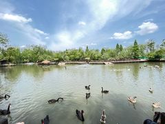 -溱湖国家湿地公园