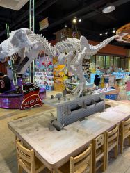 -卡通尼·Safari非洲探索乐园·生日会(金桥国际商业广场店)