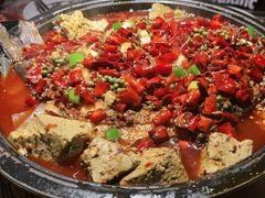 -吞鱼兽麻辣烤鱼(万达店)