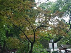 -岳麓山风景名胜区