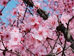 -白塘生态植物园