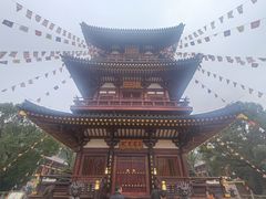 -庐山风景名胜区-东林大佛