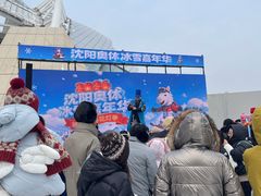 -沈阳奥体冰雪嘉年华
